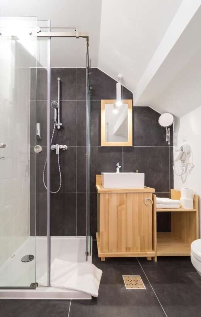 Отель Horeum Boutique Hotel Сибиу-44